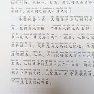 Historias de festivales chinos, libro en chino mandarín