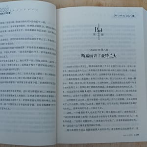 Lo que el viento se llevó, libro en chino mandarín