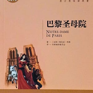 Nuestra Señora de París