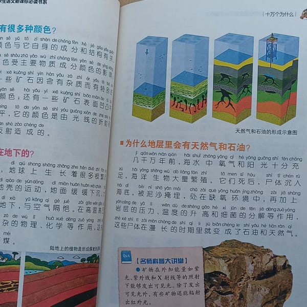 Cien mil porqués, libro en chino mandarín