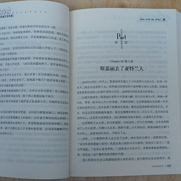 Lo que el viento se llevó, libro en chino mandarín