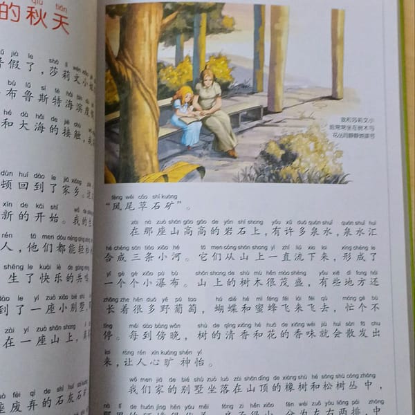 Tres días para ver, libro en chino mandarin con pinyin